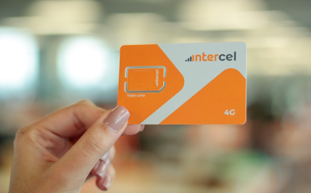 Intercel-2-1024x637.jpg