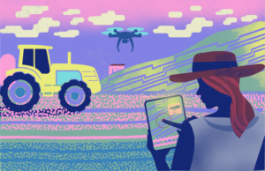9 conectividade no campo NIK