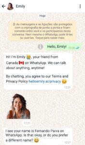 Startup oferece conversação em inglês e alemão com IA no WhatsApp 1 kokedama