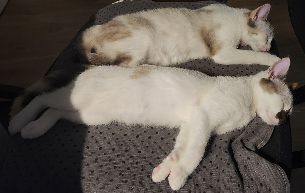 Petlove