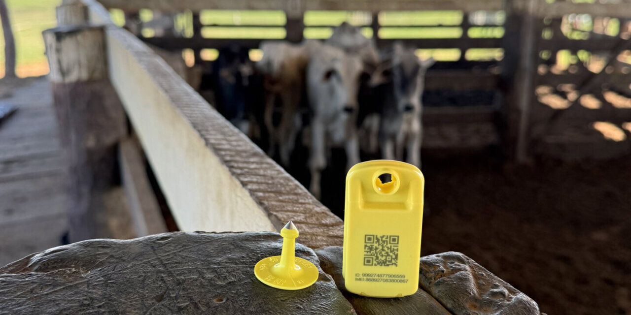 iBOI lança quarta geração de brinco IoT