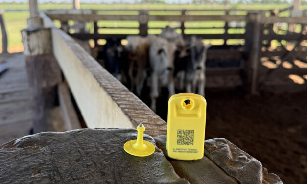 iBOI lança quarta geração de brinco IoT