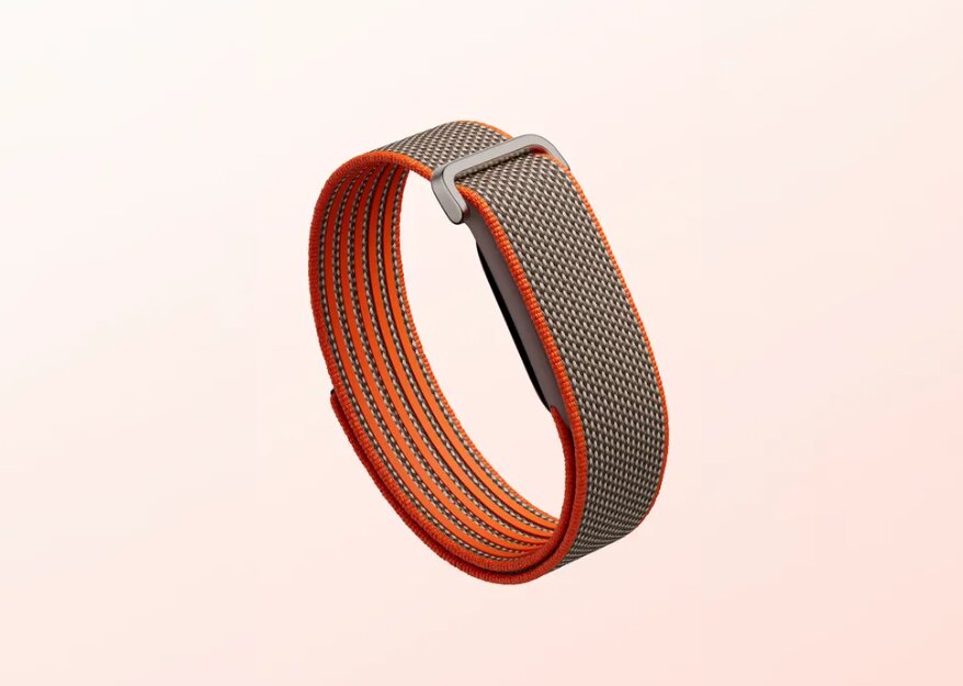 Google; Fitbit Air