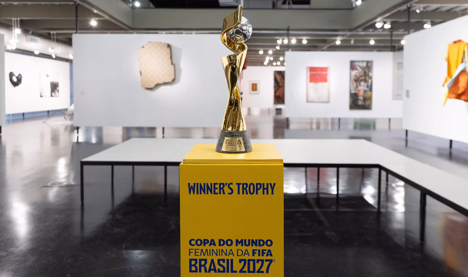 Anatel cria grupo técnico para gestão de espectro na Copa do Mundo Feminina